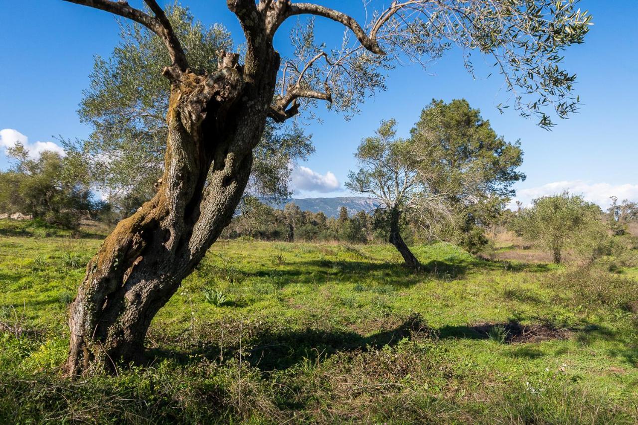 Merlyn Rooms Into The Nature, 100M From The Beach Dafnila Eksteriør bilde